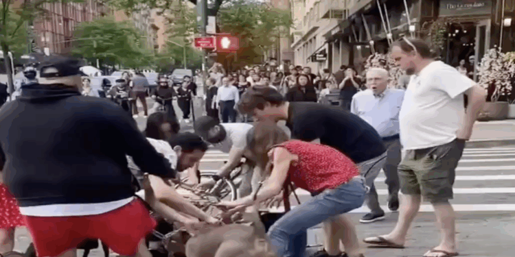 Dueños exigen justicia tras ataque a su perrita chihuahua en Nueva York